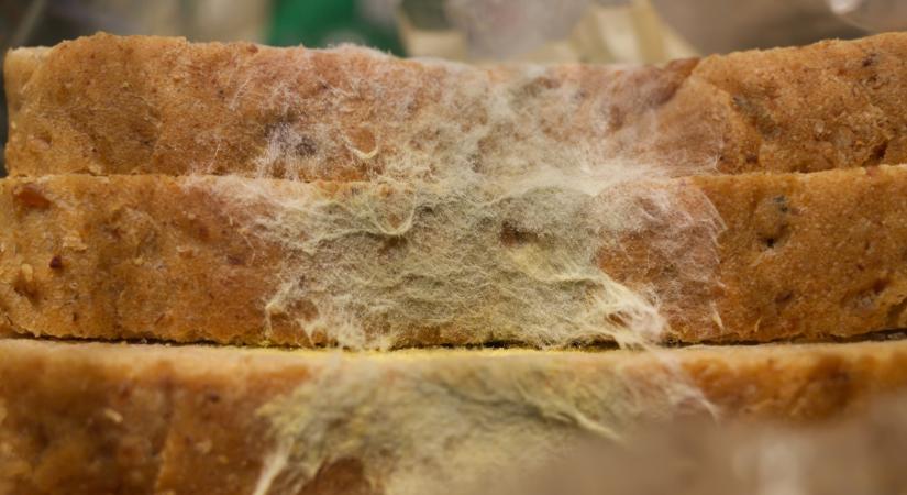 Súlyos betegségeket okozhat, ha te is ilyen kenyeret eszel: ezek az árulkodó jelek