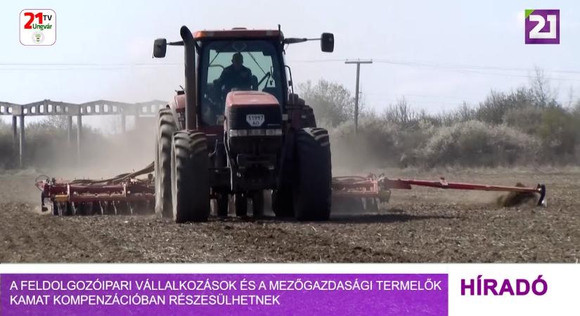 A feldolgozóipari vállalkozások és a mezőgazdasági termelők kamat kompenzációban részesülhetnek (videó)