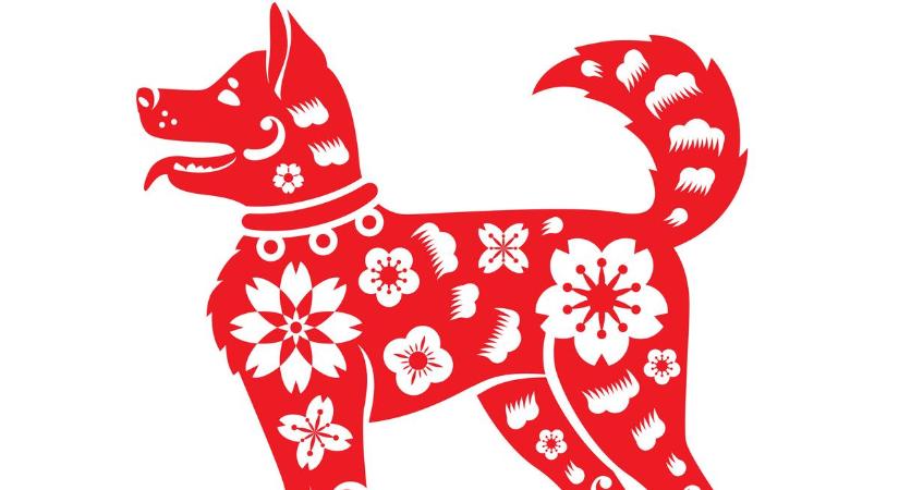 Kínai horoszkóp-előrejelzés júliusra a Kutyáknak: új szerelem és napszúrás is lehetséges, hó végén egy ötleted sok pénzt hozhat