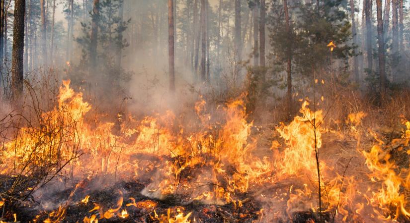 Tüzes pokol a népszerű szigeten: hatalmas a pusztítás, nem tudni, mi van a nyaraló magyarokkal