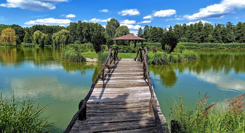 A kadarkúti Alerán-tó varázslatos világa