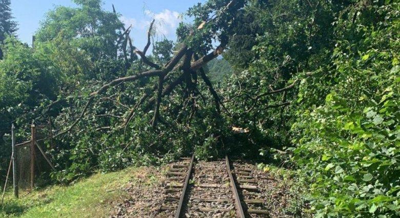 Fák dőltek a sínekre, leállt a vasúti forgalom Palotailva és Maroshévíz között