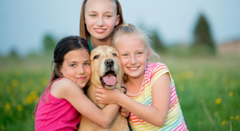 Háromlábú kutya lett a gyerekek legnagyobb támasza