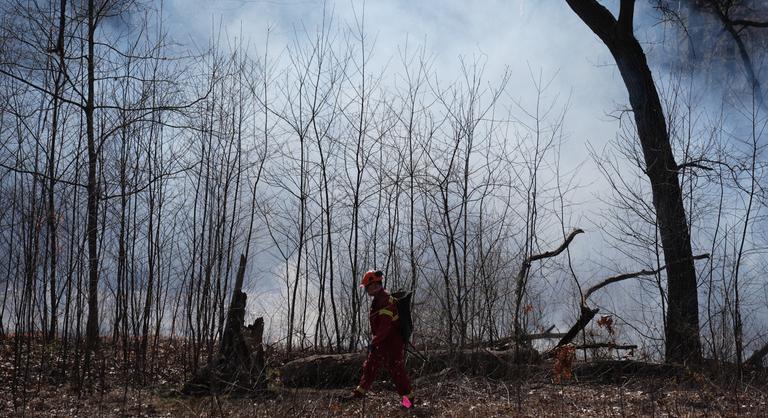 Erdőtűz pusztított Kanadában, egy szigorúan őrzött börtönt is ki kellet üríteni