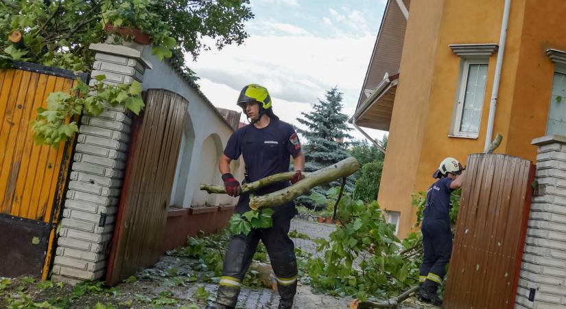 Debrecenben kerítésre, Hajdúszoboszlón épületre dőlt egy fa