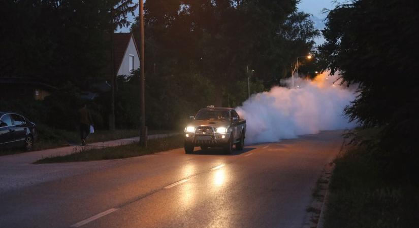 Hétfőn szúnyoggyérítés lesz Dunaújvárosban