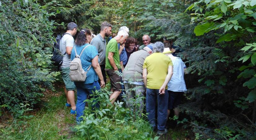 Szárnyas, vérszívó kullancsfajta lepte el Magyarországot, betegségeket is terjeszthet fájdalmas csípésük