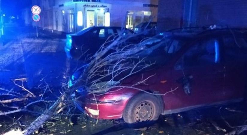 A viharok miatt 46 esethez riasztották Békés vármegye tűzoltóit