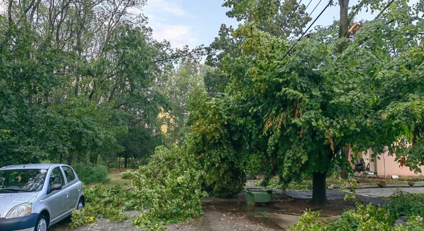 Renegetg riasztást kaptak a lánglovagok a szegedi vihar miatt