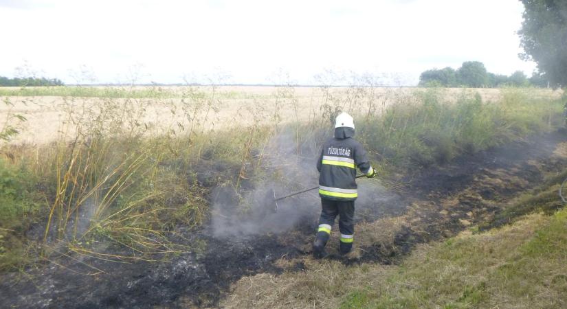 A lángok a gabonatáblát is veszélyeztették