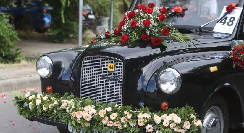 A hétvégén rendezik a Szőregi Rózsaünnepet