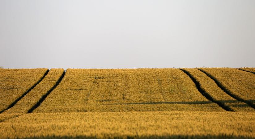 A mezőgazdaságnak az EU legfontosabb szakpolitikái közé kellene tartoznia