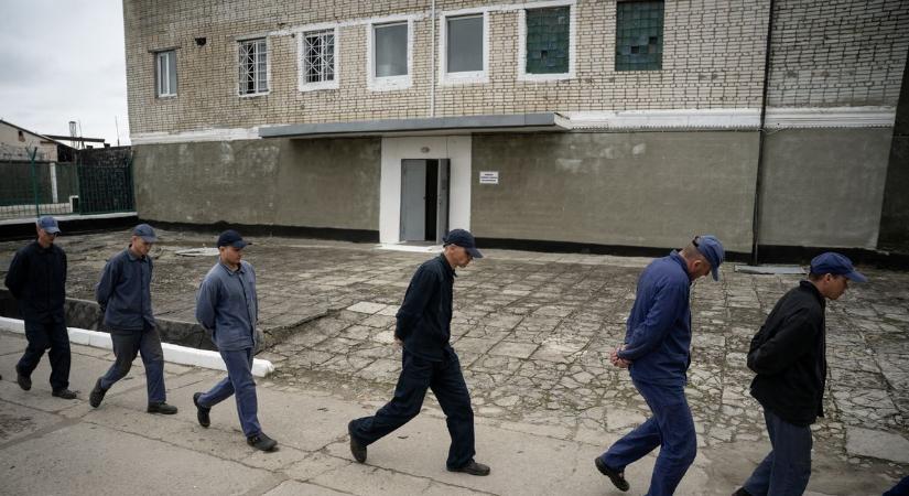 Újabb fogolycserét hajtott végre Oroszország és Ukrajna