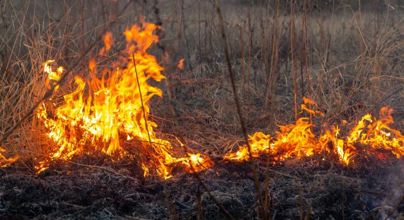 Vegetációtűz: 100 hektár tarló és 2,5 hektáros búzatábla lángolt