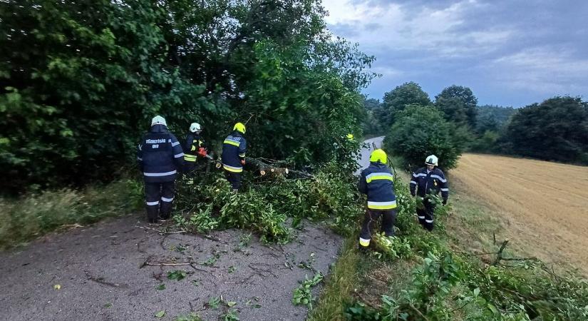 Az éjszakai vihar nyomán: fák dőltek az útra Csepregnél - fotó