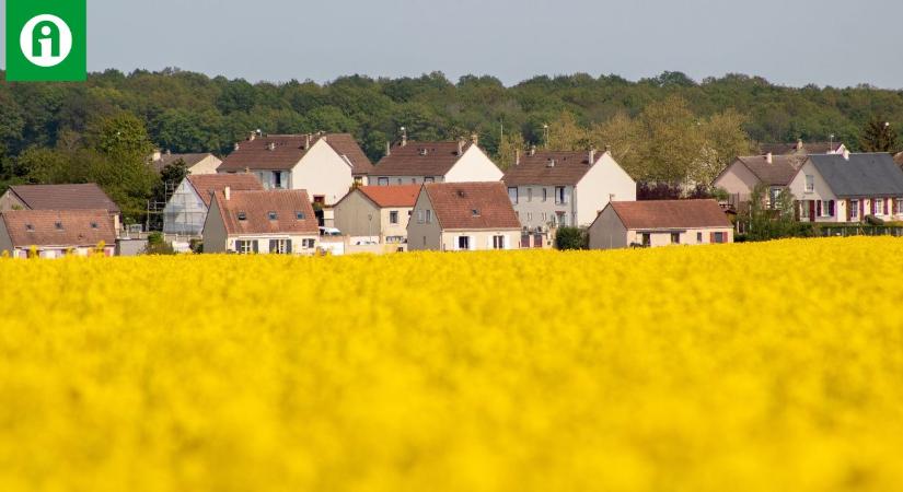 Kár ezért a növénykultúráért, pedig nem is olyan rég nagy jövő előtt állt