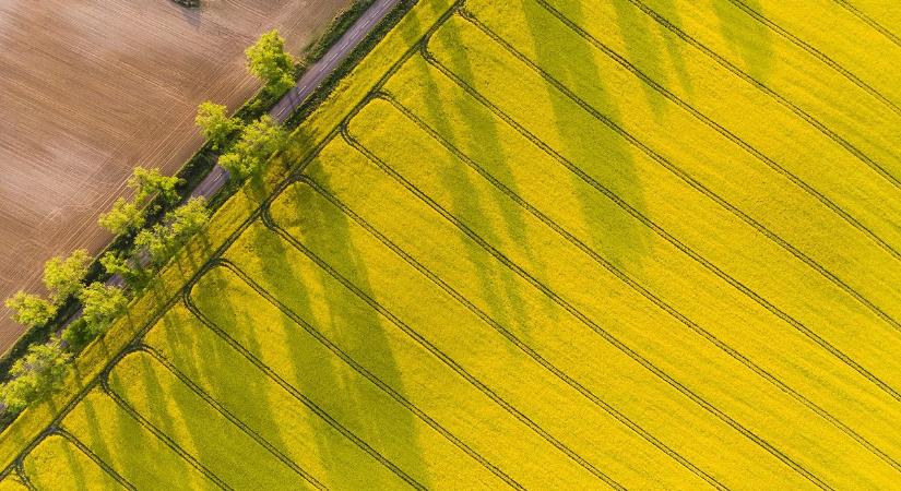 A hatékonyság és a fenntarthatóság áll a Corteva fókuszában