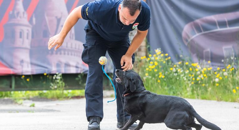 Alig várja, hogy dolgozhasson a Készenléti Rendőrség legaranyosabb tűzszerésze