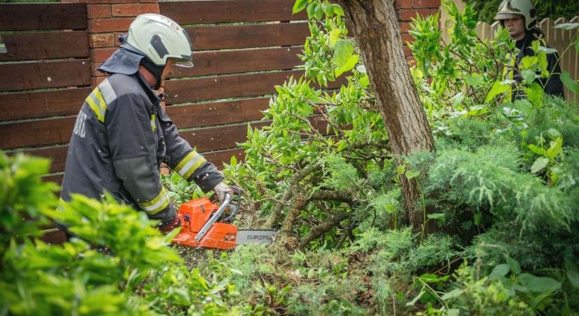 Lehasadt faágak és tűzesetek soránál kellett beavatkoznia a hajdú-bihari tűzoltóknak