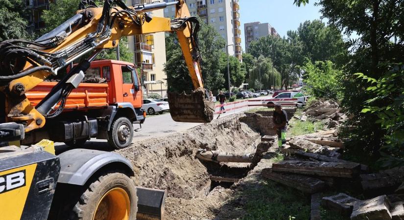 Fapusztítást emlegetnek Miskolc belvárosában – fotókkal, videóval!