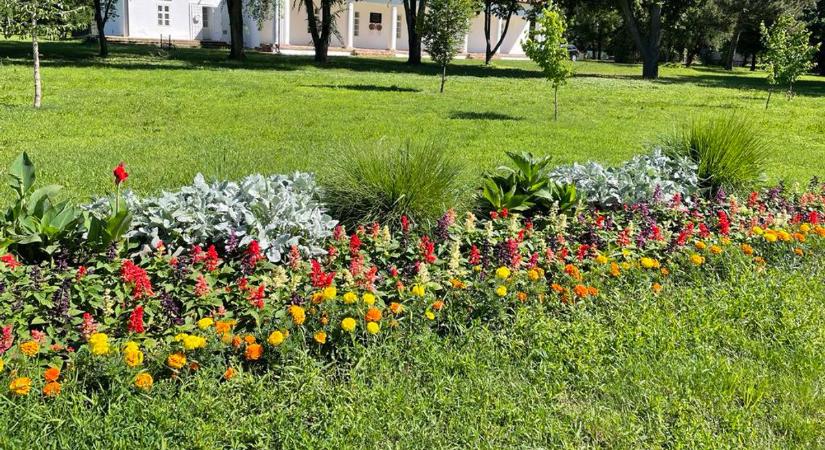 Színpompás virágok díszítik a köztereket Tiszafüreden