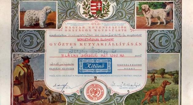 A magyar kutyafajták kutatását segítheti a Magyar Nemzeti Múzeum új gyűjteménye