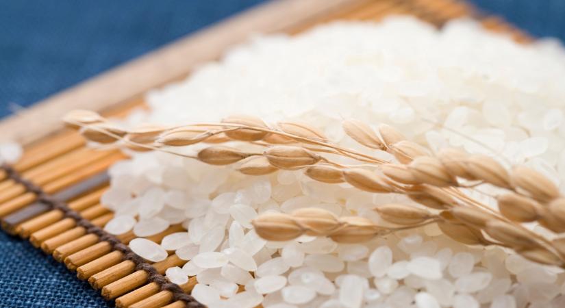 A rizs főzővize valódi kincs: 8 dolog, amire felhasználhatod ezt a folyékony aranyat