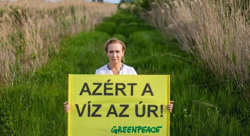 103 ezres kár okozásával vádolják Udvaros Dorottyát a természetvédő akció miatt