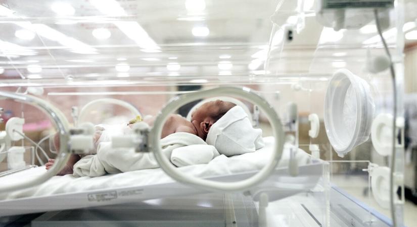 Már öt csecsemő életét követelte a holland szamárköhögés-járvány