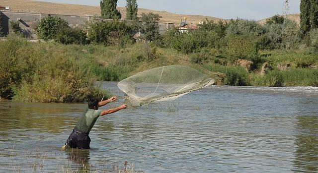 Aktívak az orvhalászok a Tisza vidékén