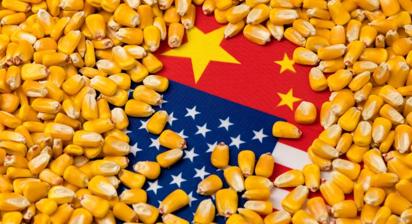 A gazdák megélhetésébe kerülne a rossz viszony Kínával
