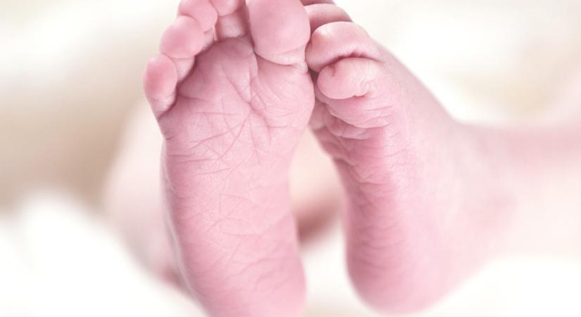 MSZP: Újabb mélyponton a születések száma – Ez a családbarát kormányzás eredménye?