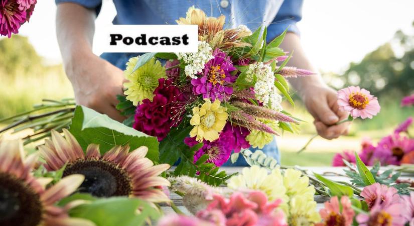 Virágcsokrok várják a kecskeméti járókelőket – podcast