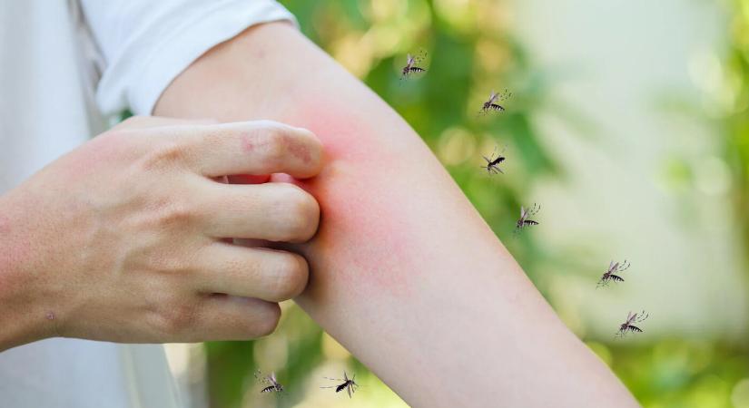 Filléres trükk, amivel távol tarthatja a szúnyogokat