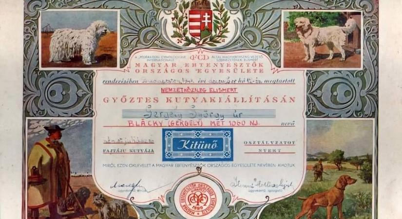 Kutyaimádók, figyelem! Lenyűgöző ebtörténeti kincsekkel gazdagodott a Magyar Nemzeti Múzeum gyűjteménye