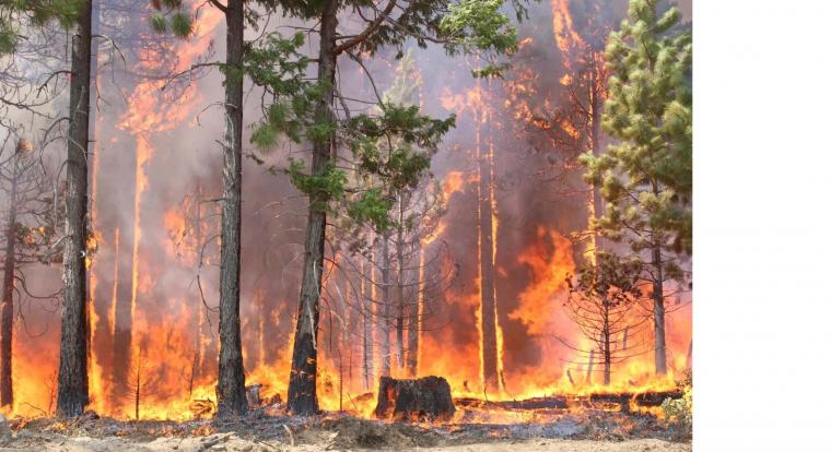 Több tízezer tonna szén-dioxid kerül a levegőbe oroszországi erdőtüzek miatt a sarkkör közelében