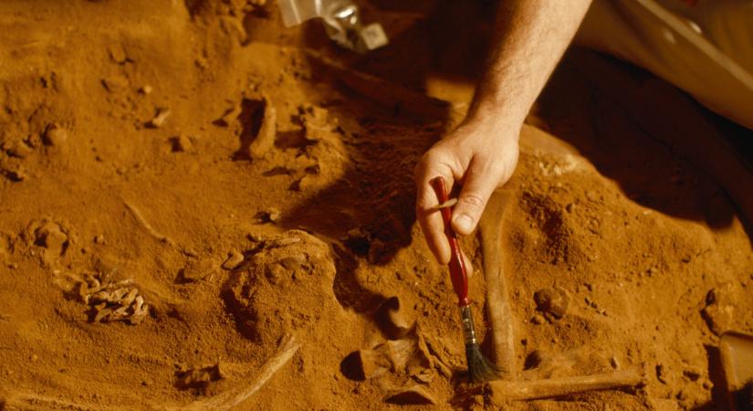 Szenzációs felfedezés: különleges leletekre bukkantak baranyában