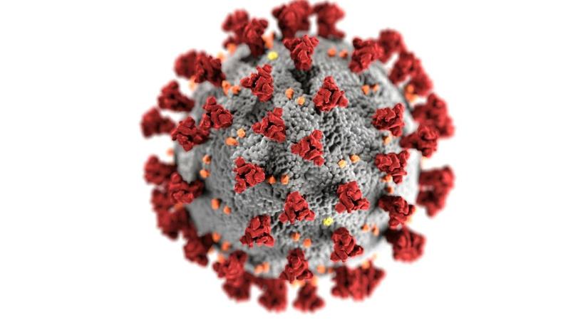 Elképesztő magyar szabadalom jöhet a koronavírus ellen