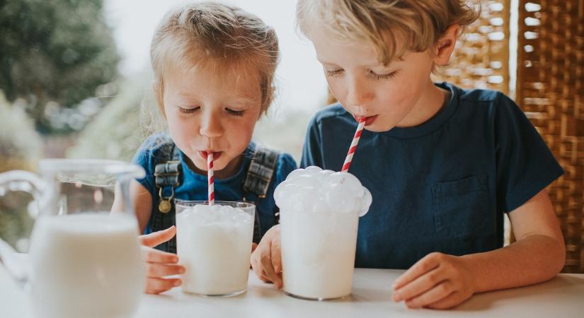 Mennyi idős kortól ihatnak növényi tejet a gyerekek?