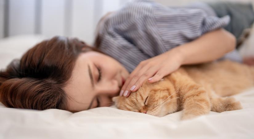 Ezért alszik a macskád a fejed mellett: több okból is jó neki
