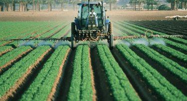 Felhívás a fenntarthatóan intenzív felelős mezőgazdaságért