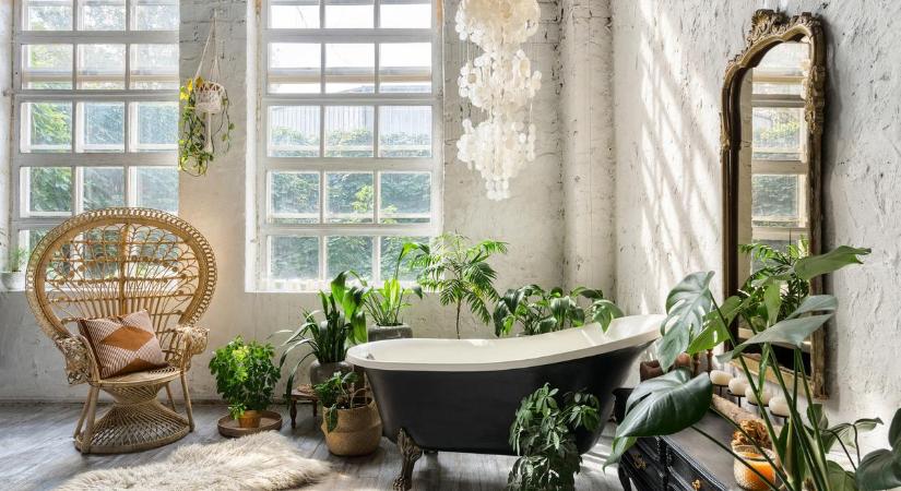 7 csodás növény, ami fantasztikusan érzi magát a fürdőszobában