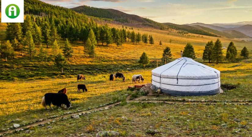 Mongólia: ahol az élet nem magától értetődő kiváltság, hanem a természet függvénye