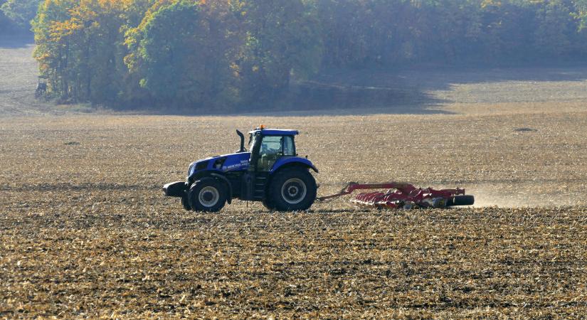 20 ezer hektárnyi termőföldet árverez el az állam