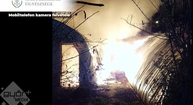Tűzijáték miatt égtek a fóliasátrak Győrben