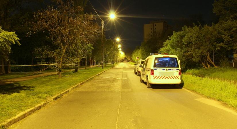 Lomizni jött Budapestre a férfi: miután berúgott, brutális módon ölt meg egy járókelőt - Fotók
