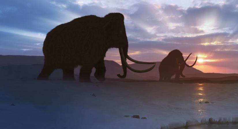 Járvány okozhatta a mamutok bukását