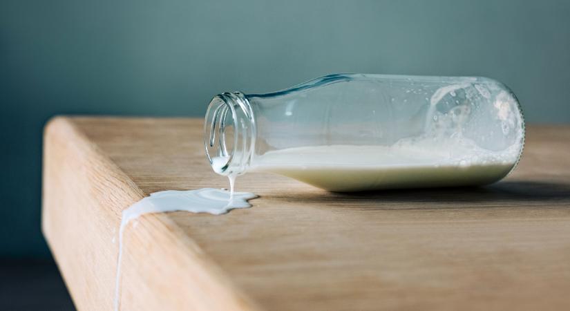 Durvul a sztrájk: egyre nagyobb a feszültség a bajor tejiparban