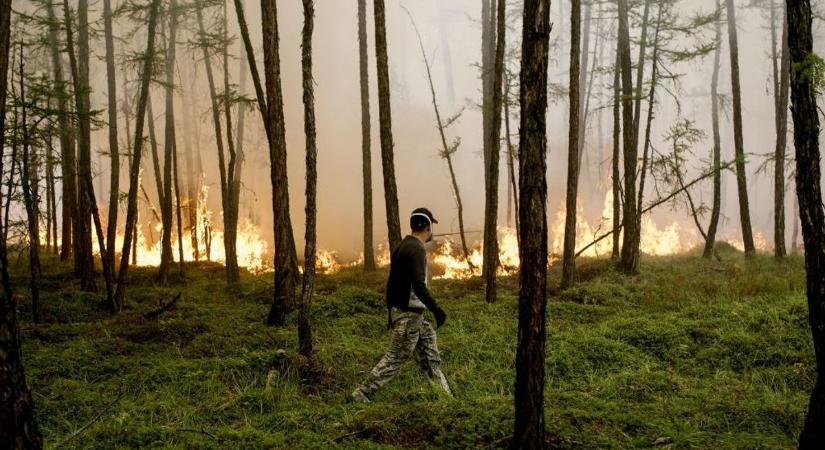Rendkívüli állapotot hirdettek Oroszországban az erdőtűzek miatt