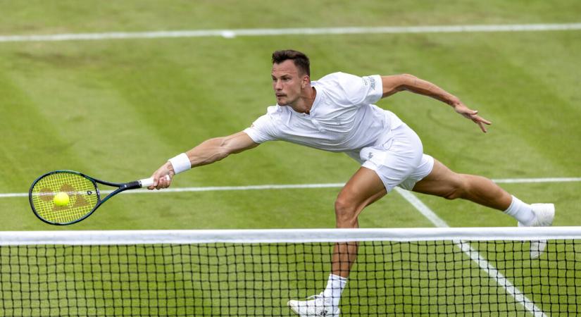 Wimbledon: Marozsán és Fucsovics is elvérzett az első játéknapon